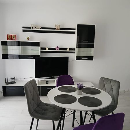 Forest View Câmpulung Moldovenesc Dış mekan fotoğraf