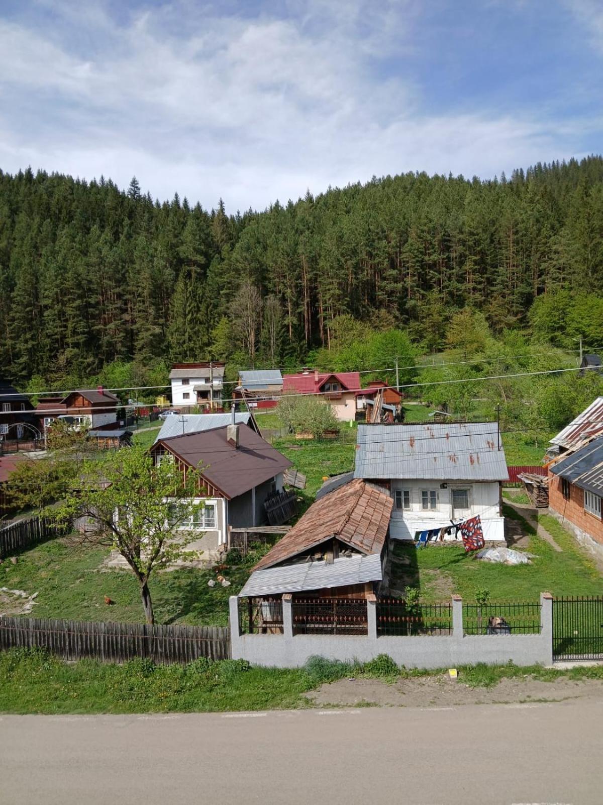 Forest View Câmpulung Moldovenesc Dış mekan fotoğraf